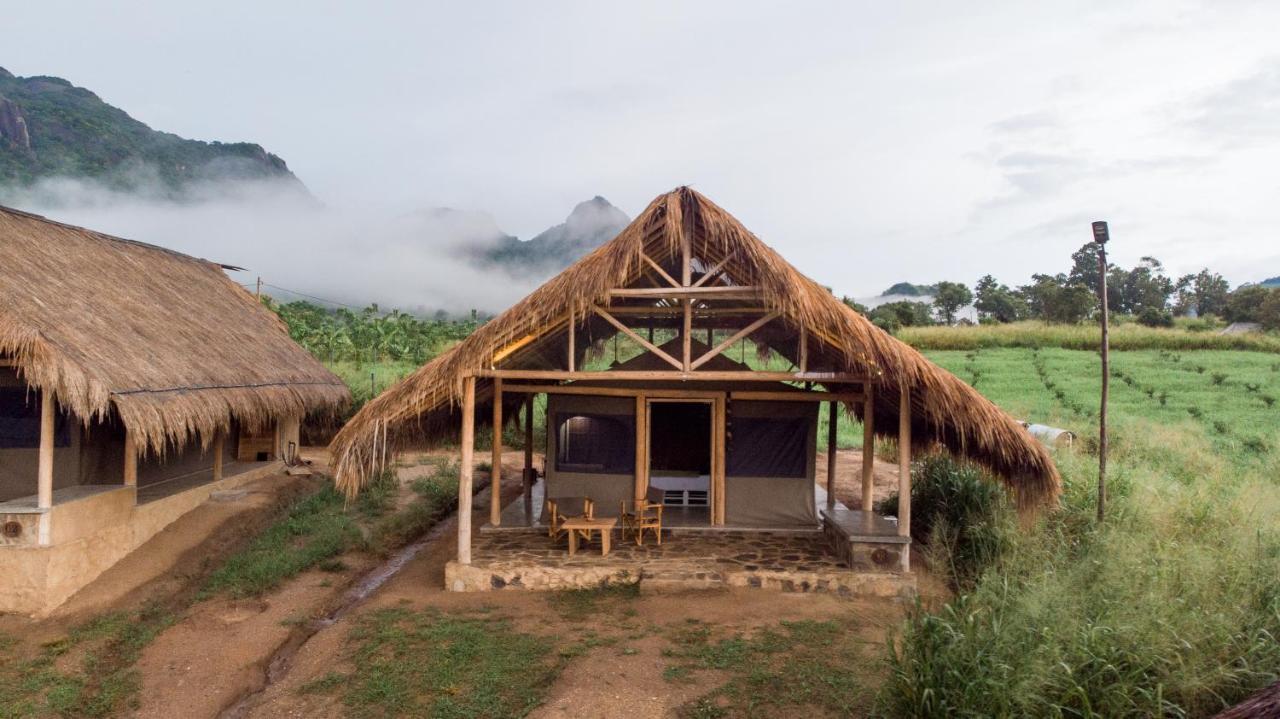Wild Glamping Gal Oya - Thema Collection Hotel Galgamuwa  Exterior photo
